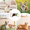 Plush Squeaky Dog Toy view 4