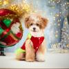 Christmas Dog Onesie view 2