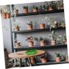Milisten Maple Leaf Reptile Water and Food Bowl view 4
