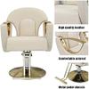 Black Hydraulic Swivel Salon Chair for Business or Home, Classic Hair Styling Chair (190 kg), White Color Option Included view 3