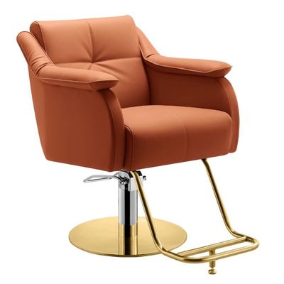 Professional Hair Styling Chair with Hydraulic Pump