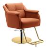 Professional Hair Styling Chair with Hydraulic Pump view 1