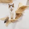 RTTZBOZ Wall-Mounted Cat Climbing Shelves view 1