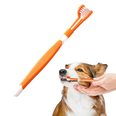 Small Dog Toothbrush with 3 Heads for Fresh Breath