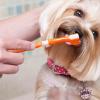 Small Dog Toothbrush with 3 Heads for Fresh Breath view 3
