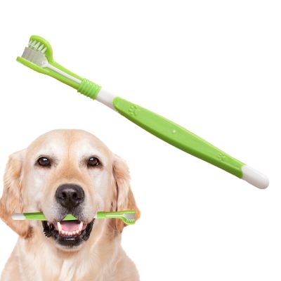 Pet Toothbrush