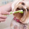 Cat Toothbrush | 3 Heads for Bad Breath Removal | Soft Bristles for Kittens view 3