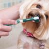 Toothbrush for Small Dogs view 3