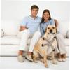 BESPORTBLE High-Quality Plush Chew Toy for Pets view 4