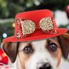 Red Christmas Hat for Pets view 3