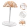 MUSISALY Height-Adjustable Plastic Wig Stand, Milk Coffee, Lace Wig Head Holder for Styling, Storage and Drying view 4