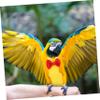 Supvox Parrot Diaper Flight Suit view 4