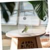 Hanging Bird Bath for Cages, PVC Parrot Bath, 1 Piece view 4