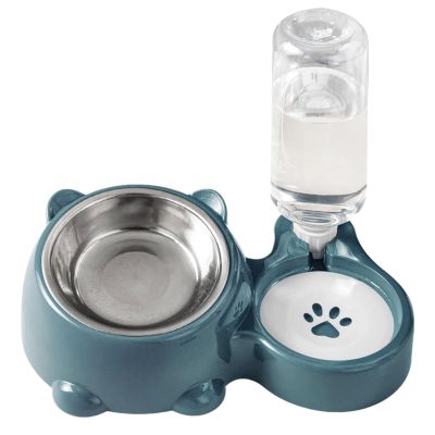 Tilted Dog Bowl Set