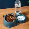 Tilted Dog Bowl Set view 2