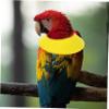 Supvox Parrot Collar - Anti-Pecking Bird Cone view 3