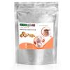 Gino Gelati Vegan Protein Ice Cream Powder, Walnut Flavor, Low-Calorie, 100 kg view 1