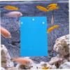 BUGUUYO 2-Pack Plastic Fish Breeding Plates with Suction Cups, Blue view 2