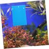 BUGUUYO 2-Pack Plastic Fish Breeding Plates with Suction Cups, Blue view 4