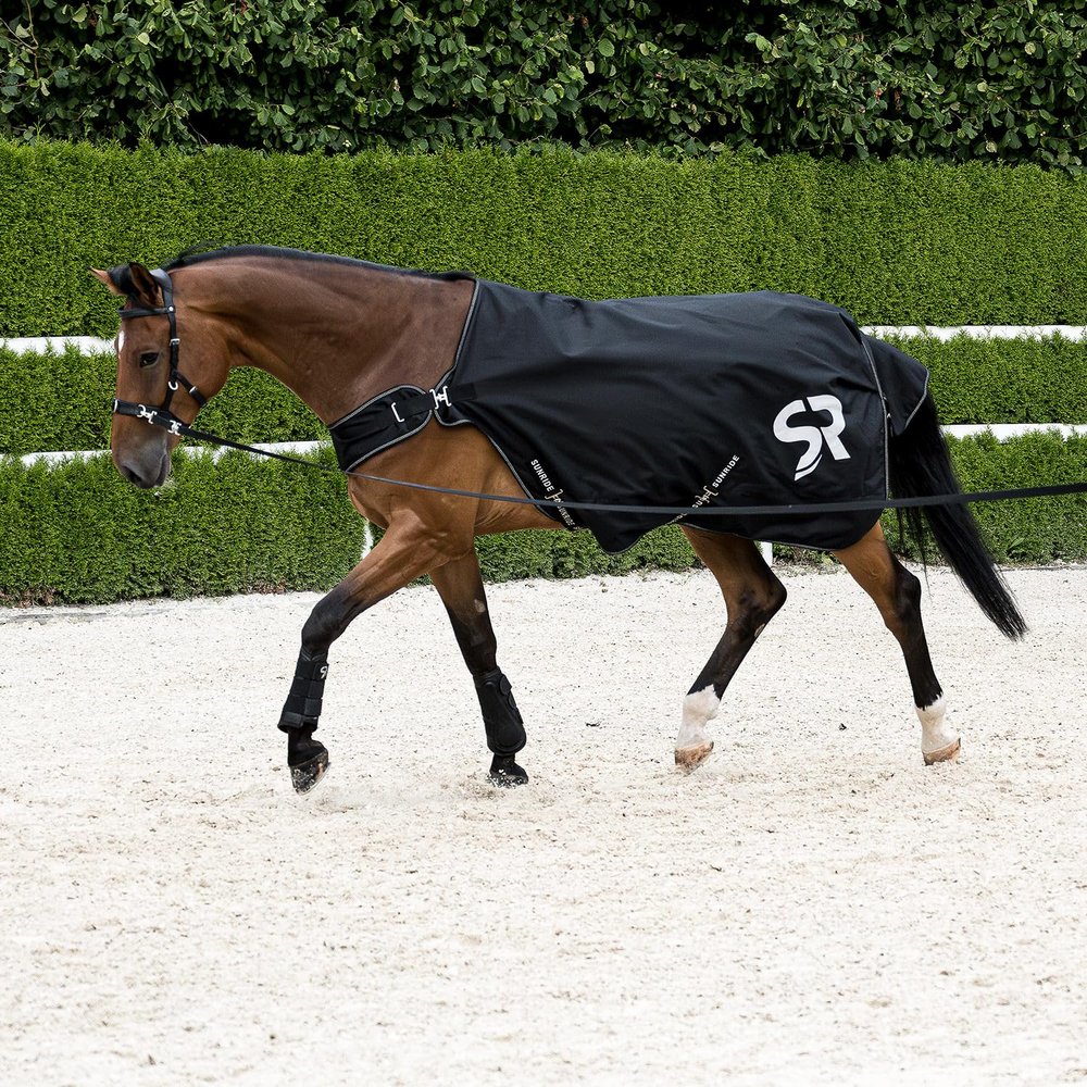 SUNRIDE Fhranlagendecke 0g for Horses (Cornwell)