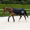 SUNRIDE Fhranlagendecke 0g for Horses (Cornwell) view 1