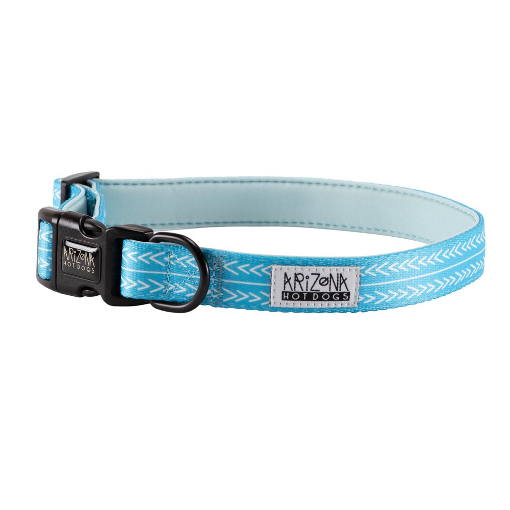 Nylon Collar with Neoprene | Arizona Hotdogs Bubble Gum Blue Dog Collar | L