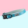 Nylon Collar with Neoprene | Arizona Hotdogs Bubble Gum Blue Dog Collar | L view 2