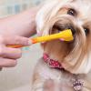 Small Dog Toothbrush, Puppy Toothbrush with Soft Bristles - Dog Toothbrush with Three Heads view 3