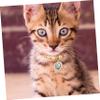 Toddmomy Adjustable Pet Collar with Colorful Beads view 4