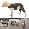 Zxfdsfdbnm Dog Leggings for Hind-Leg Support, Warmth and Anti-Licking view 2