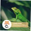 Yardwe Adjustable Leather Reptile Leash for Safe Outdoor Walking with Durable Harness - 5 Pack for Bearded Dragons view 2