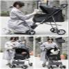 Windmilne Dog Stroller, Pet Buggy, Collapsible Travel Stroller, Waterproof Puppy Stroller with Large Storage Basket (Gray) view 2