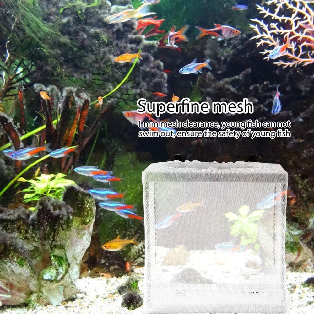 Multifunctional Isolation Net Box