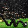 Rium S Bubble Bar Fish Scape Oxygen Diffuser Set view 2