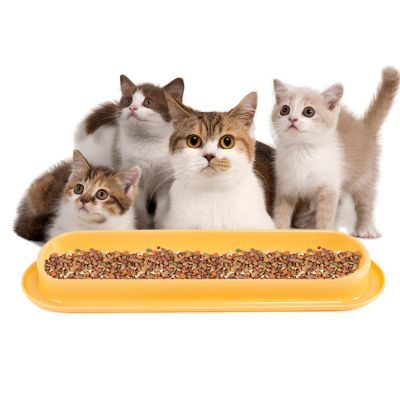 Cat Food and Water Bowl