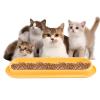 Cat Food and Water Bowl view 1