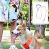 Dog Leash Running Rope | Colorful Leash with Comfortable Grip view 2