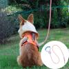 Dog Leash Running Rope | Colorful Leash with Comfortable Grip view 3