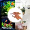 Huyeruie Betta Leaf Hammock Aquarium Plant view 3