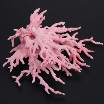 Brrnoo Crushed Coral for Aquariums