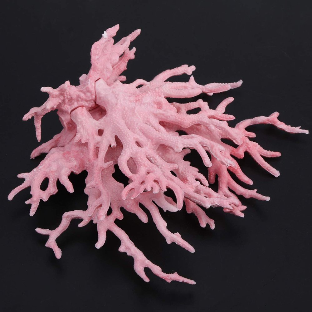 Brrnoo Crushed Coral for Aquariums