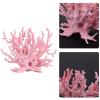 Brrnoo Crushed Coral for Aquariums view 3