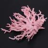 Brrnoo Crushed Coral for Aquariums view 4