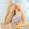 Dmuzsoih Bird Nest for Cage view 3
