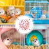 Hamster Nest | Squirrel Hammock, Warm Cotton, Winter Hideout view 4