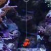 BUGUUYO Diver Decoration for Aquarium view 4