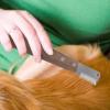 Dog Grooming Stripping Comb with Wooden Handle view 3