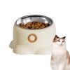 Elevated Cat Food Bowl view 1