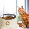 Elevated Cat Food Bowl view 4