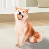 Latex Face Ball Dog Toy view 3